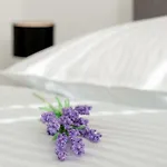 Dream Apartmants *