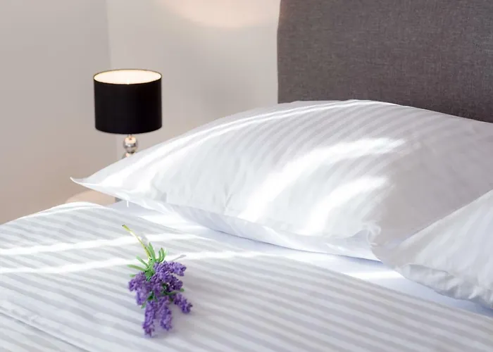 Апартаменты Dream Apartmants *