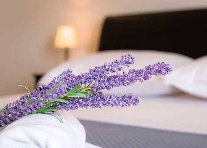 Апартаменты Dream Apartmants Сплит