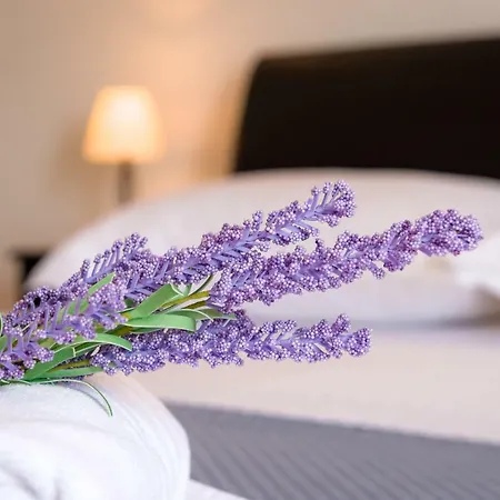 公寓 Dream Apartmants 斯普利特