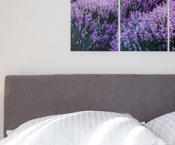 Dream Apartmants 公寓 斯普利特