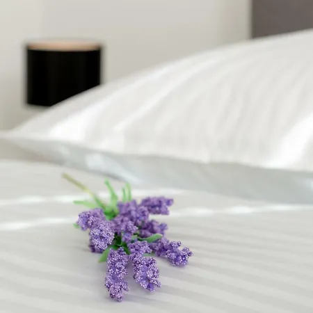 Spalato Dream Apartmants *