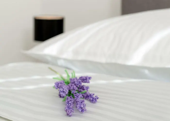 Dream Apartmants *