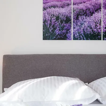 Dream Apartmants 公寓 斯普利特